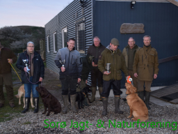 Hundetræning forår 2016